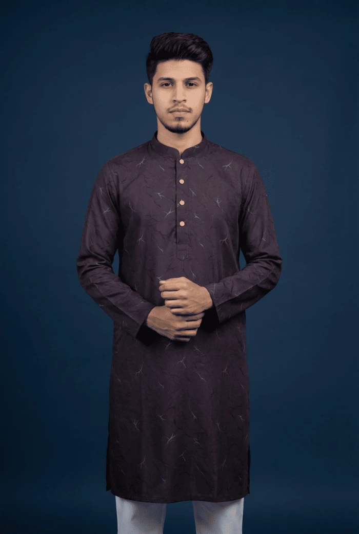 Pakistani Elegant Prince Panjabi